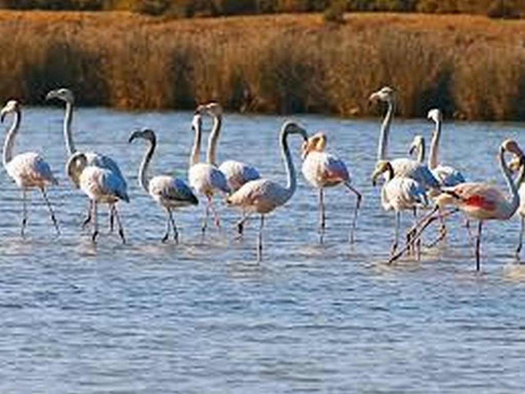 Apartamento Pé na Areia, Armação de Pêra Esterno foto